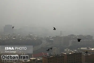 آلودگی هوا؛ علت مرگ ۳هزار تهرانی بالای ۳۰ سال در سال گذشته
