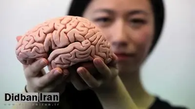 چه کنیم مغزمان جوان‌ بماند؟