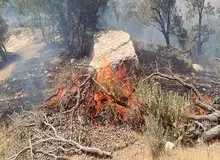 مهار کامل آتش‌سوزی در آرادکوه از ۲ روز پیش/ حریق جدیدی رخ نداده است