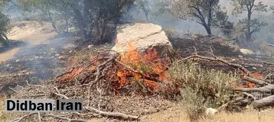 مهار کامل آتشسوزی در آرادکوه از ۲ روز پیش/ حریق جدیدی رخ نداده است