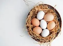 زرده تخم مرغ برای سالمندان مضر است؟
