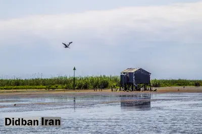 ١٥ هکتار از حاشیه و زمینهای مرداب انزلی به باغ،، ویلا ، کشتزار و استخر پرورش ماهی تبدیل شده است/ معرکه مرداب خوران در انزلی