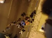 خودکشی دختر نوجوان از‌ بالای پل زیرگذر گچساران + فیلم 
