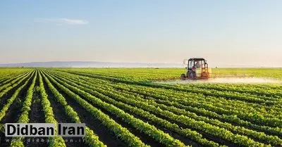 کرونا چقدر بر بخش کشاورزی تاثیر می گذارد ؟/ سال سختی در انتظار کشاورزان است