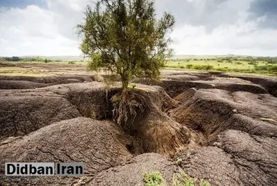 رئیس بخش زلزله مرکز تحقیقات راه، مسکن و شهرسازی: غیر از گیلان در تمامی مناطق ایران پدیده فرونشست زمین داریم