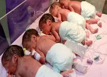 تولد ۵ قلوها در شیراز/ وضعیت عمومی نوزادان مطلوب است