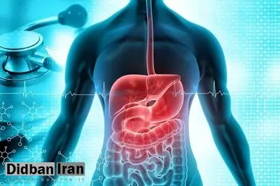 ورود ویروس گوارشی جدید به ایران + علایم