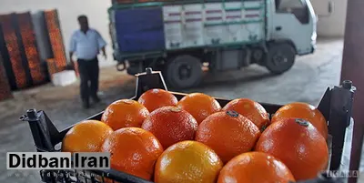 فروش پرتقالهای رنگ شده در بازار به نام پرتقال شمال