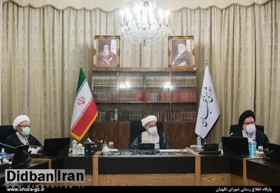 نجفی توانا: مرجع تعیین شرایط کاندیداهای ریاست جمهوری شورای نگهبان نیست/ اقدام اخیر شورای نگهبان بی احترامی به قانون اساسی است 