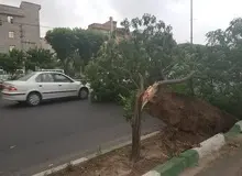 احتمال وقوع توفان‌های تندری در تهران و برخی مناطق مرکزی کشور