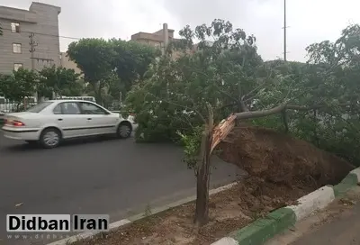 احتمال وقوع توفانهای تندری در تهران و برخی مناطق مرکزی کشور