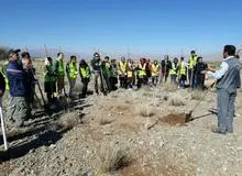 احیای 54 هکتار از جنگل های پاسارگاد آغاز شد