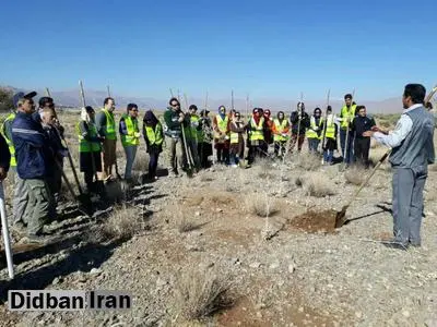 احیای 54 هکتار از جنگل های پاسارگاد آغاز شد