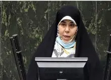 نماینده مجلس: وزارت بهداشت بودجه درمان ناباروری را جای دیگری هزینه کرده است