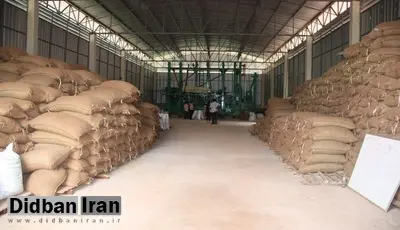 کاهش هشداردهنده ذخایر برنج و شکر در کشور/ وزارت جهادکشاورزی: فعلا هیچ برنجی وارد نمی‌شود
