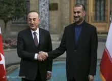 وزیرخارجه ترکیه: امیدوارم مذاکرات در وین به نتیجه مثبت برسد