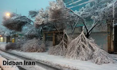 آخرین خبر از احتمال تعطیلی تهران در روز دوشنبه