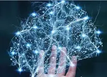 پخش مویرگی چیست؟ بررسی اصول و قوانین پخش مویرگی

