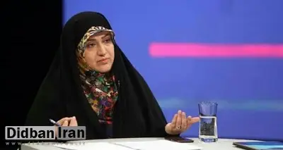 رفیعی: نقش بیبدیل جمهوری اسلامی در محیط زیست مظلوم واقع شده
