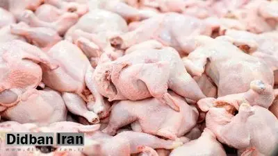 وعدههای کاهش قیمت مرغ به کجا رسید؟