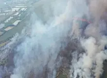 فرماندار بندرانزلی: مظنونان آتش‌سوزی در شناسایی شدند