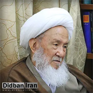 توصیه یکی از علمای حوزه علمیه نجف به مقامات ایرانی: اولویت شیعیان در نظر بگیرید