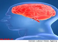 یک راهکار موثر برای پیشگیری از آلزایمر