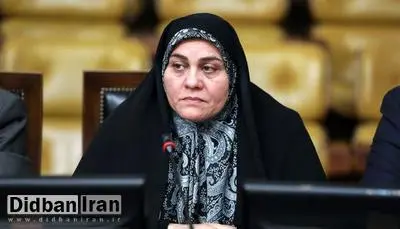 واکنش  سخنگوی فراکسیون امید به بازداشت علی ملیحی