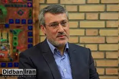 بعیدی نژاد از افشاگری های گاردین تقدیر کرد