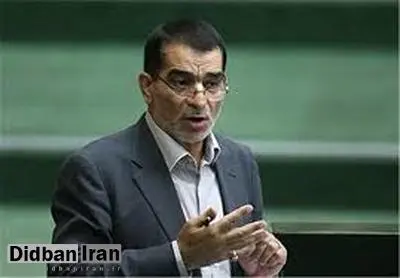 نماینده اصولگرایی که پرچم آمریکا را آتش زد: باز هم این کار را می کنم و به آن افتخار می کنم
