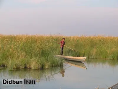 قسمت شمالی تالاب شادگان خشک شد/ چشم طمع مسئول و غیرمسئول به خشک شدن تالاب