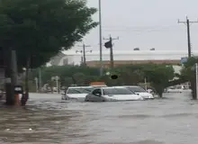 "گناوه"، ونیز شد! / تصاویر
