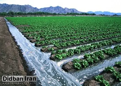 رئیس کمیسیون عمران مجلس: ۸۰ تا ۹۰ درصد آب کشور در حوزه کشاورزی مصرف میشود
