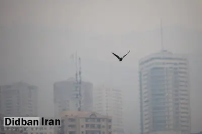 ۴۸۱۰ مرگ منتسب به آلودگی هوا در تهران طی سال گذشته