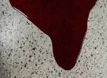 قتل مادر توسط فرزند/ قاتل دستگیر شد