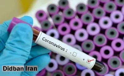 معاون بهداشتی دانشگاه علوم پزشکی یزد: یک مورد آزمایش کرونا در یزد مثبت شد