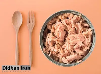 کنسرو ماهی از این تاریخ گران می‌شود