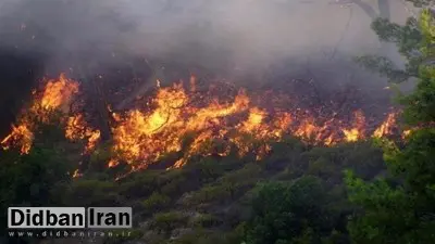 ورود مدعی العموم به موضوع آتش‌سوزی جنگل‌های ارسباران