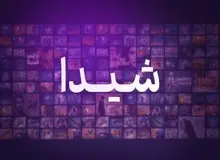 رئیس گروه مالی گردشگری، معاونش را به پلتفرم «شیدا» فرستاد