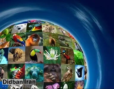 ۵۰ هزار گونه زیستی شناسایی شده در جهان متعلق به ایران است
