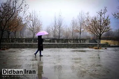 تهران از فردا سردتر می‌شود/ پیش بینی بارش باران و وزش باد