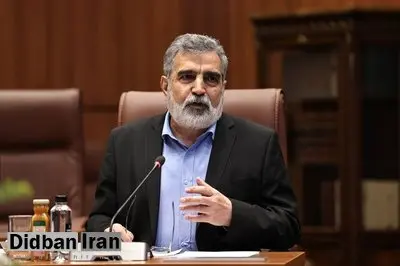کمالوندی: صنعت هستهای در ایران ریشه دارد و با حمله صدمه نمیبیند