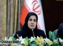 اظهارات معاون روحانی درباره مدیران بازداشتی/ اتهام های مطرح شده علیه عراقچی و سیف مبنای قابل اتکایی ندارد
