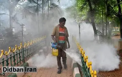 سازمان جهانی بهداشت:اهداف هند در کاهش ابتلا به بیماری مالاریا محقق نمی شود