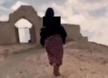 پلیس: فردی که در اماکن تاریخی لارستان اقدام به تهیه و انتشار کلیپ‌های هنجارشکن کرده بود، روانه دادسرا شد