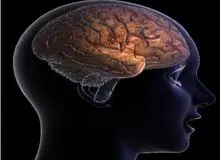 حافظه زنان پس از یائسگی آنها کاهش می‌یابد