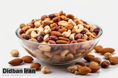 کدام مغزها بیشترین فایده را دارند؟