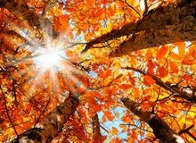 پاییز و نیمه اول زمستان امسال گرم‌تر و خشک‌تر از حد نرمال خواهد بود