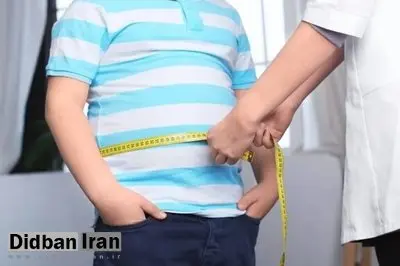۱۱ نوع مختلف از چاقی شناسایی شد