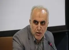 وزیر اقتصاد: تعاونی‌ها؛ حامی فعالیت‌های مولد در اقتصاد / خواب خوش دژپسند برای تعاونی ها